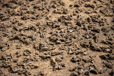 Tratamiento de aguas residuales y gestión de lodos: cuál es el valor agronómico de los fangos